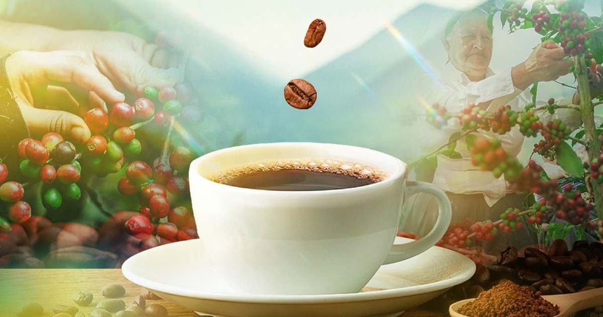 Amazonas celebra la Degustación de 10 mil Tazas de Cafés Especiales