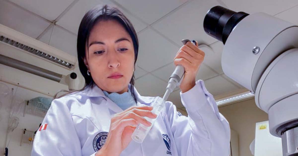 Investigación peruana impulsa apicultura sostenible en Suecia