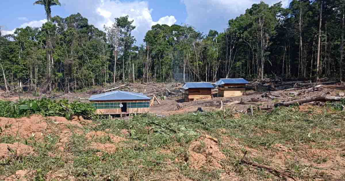 Chancay y Amazonía: riesgos y retos de la conectividad
